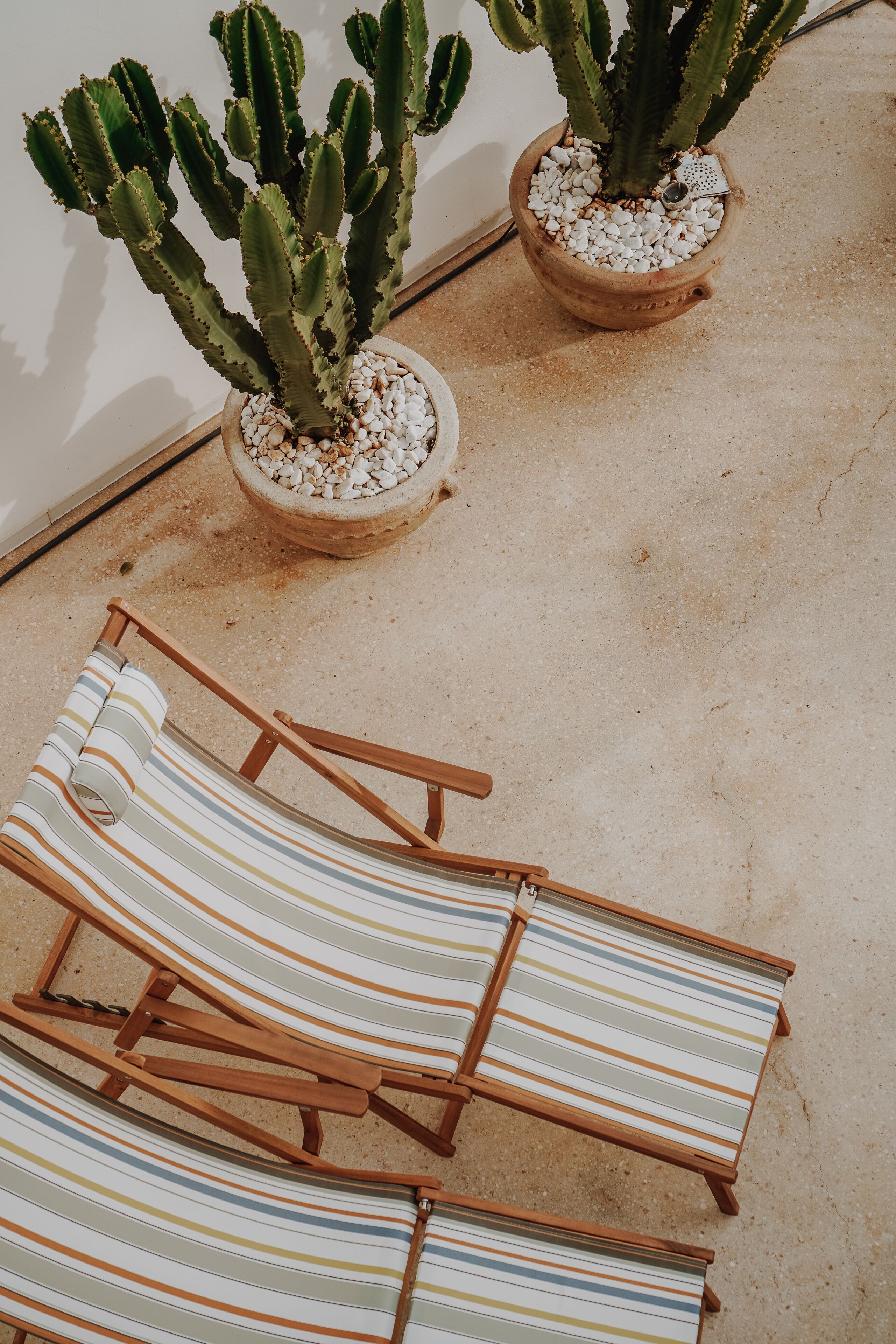 Two potted cacti and two striped lounge chairs on a tiled floor.