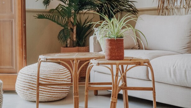 Una habitación con un sofá de mimbre, una mesita redonda y una planta en maceta.
