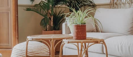 华丽公寓, 多张床 | 起居区 | 平板电视