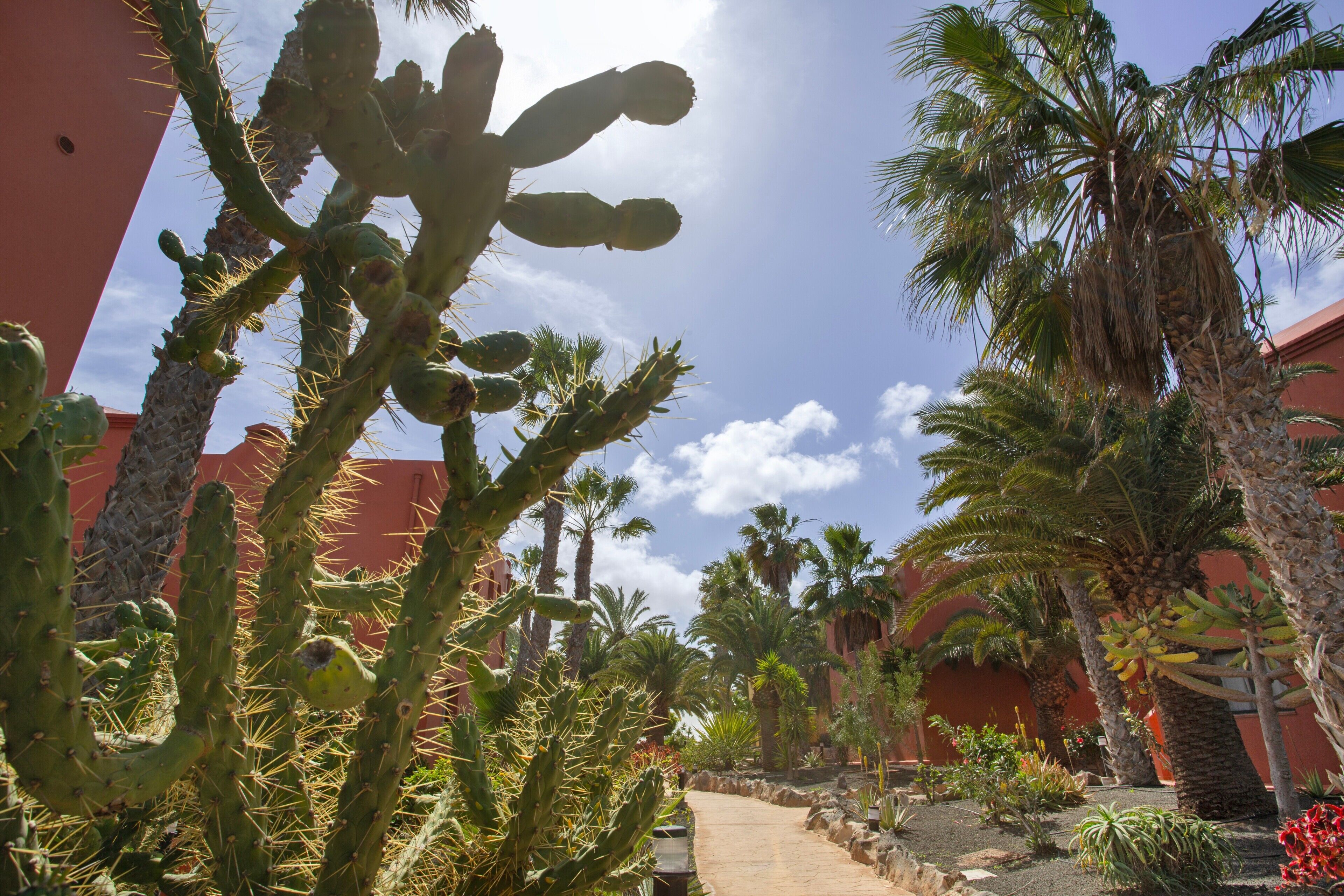 Terrein van de accommodatie