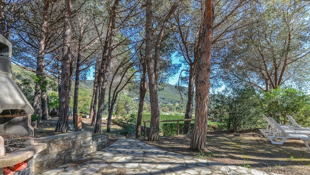 A stone patio with a barbecue grill, surrounded by trees and a bench. - Holiday Apartment 'Il Papavero' with Wi-Fi (procchio)