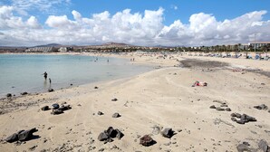 Ein Strand mit blauem Himmel, sandigem Ufer und einigen Personen.