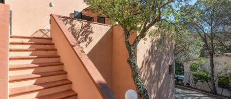 Una escalera que conduce a un edificio con un árbol a un lado.