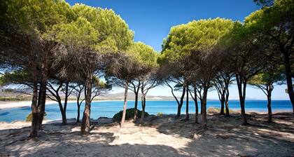 three-room apartment in pine forest two bathrooms