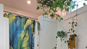 A bathroom with a shower curtain, a bench, and a hanging plant.