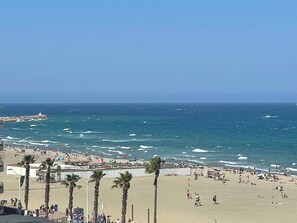 Ein Strand mit Palmen, einem steinernen Wellenbrecher und Menschen, die das Wasser genießen.