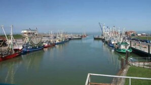 A marina with several boats docked in calm water.
