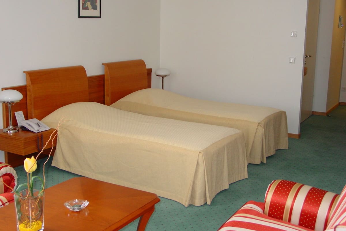 Phòng 2 giường đơn Business | Minibar, trang bị nội thất với thiết kế riêng biệt, bàn