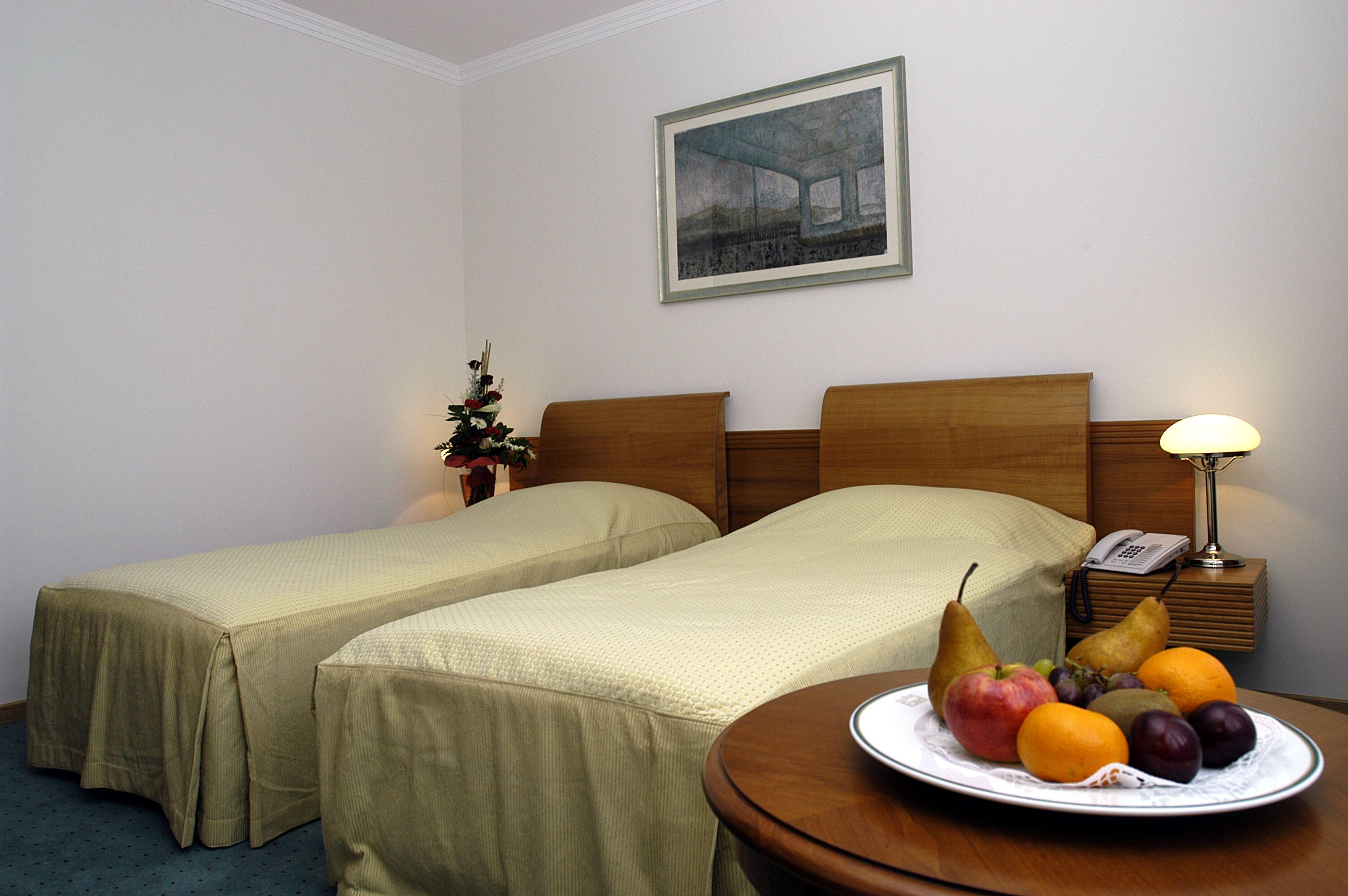 Business Double Room, Non Smoking | Minibar, individually furnished, desk, laptop workspace
