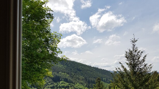 A view through a window of a forested hillside with a clear sky. - Beautiful gîte in Alsace (Natzwiller)
