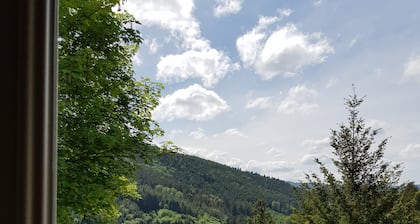 Beautiful gîte in Alsace