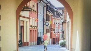 A street view with a pedestrian under an archway, buildings with signage, and a clock.