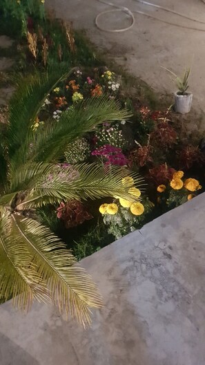 Detall de l'exterior