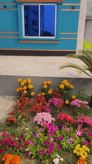 Detalle exterior