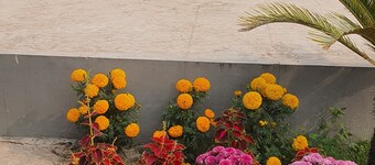 Peaceful Villa with 3 rooms, a pool & green yard, 15 min from Airport