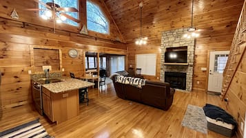 Smart TV, fireplace, books