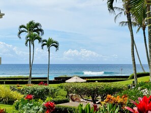 Property grounds - PK35! Modern Poipu Retreat | Relaxing Pool & Walk to Beach (Koloa)