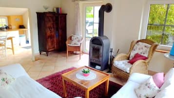 TV, fireplace, books