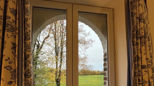 A window with a white frame and a view of a grassy field with trees and a fence.