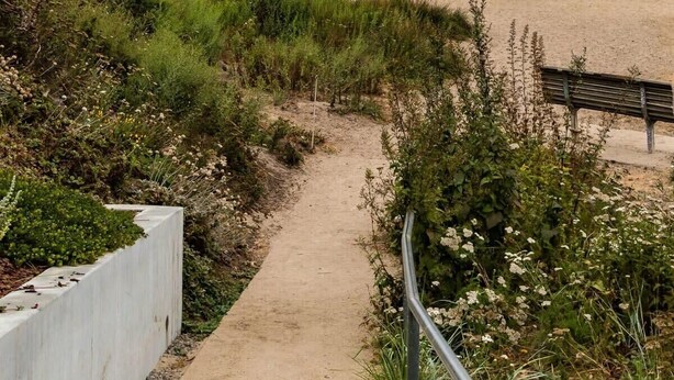 Una spiaggia con una torretta di salvataggio, un sentiero di sabbia e una panchina.