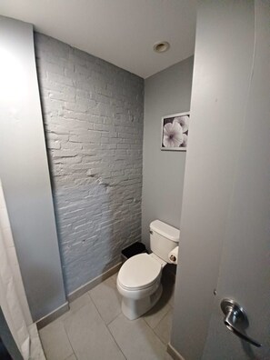 A small bathroom with a white toilet, a brick wall, and a picture of flowers on the wall. - Experience Boston At It’s Finest! (Boston)