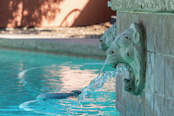 Una piscina al aire libre, una piscina climatizada