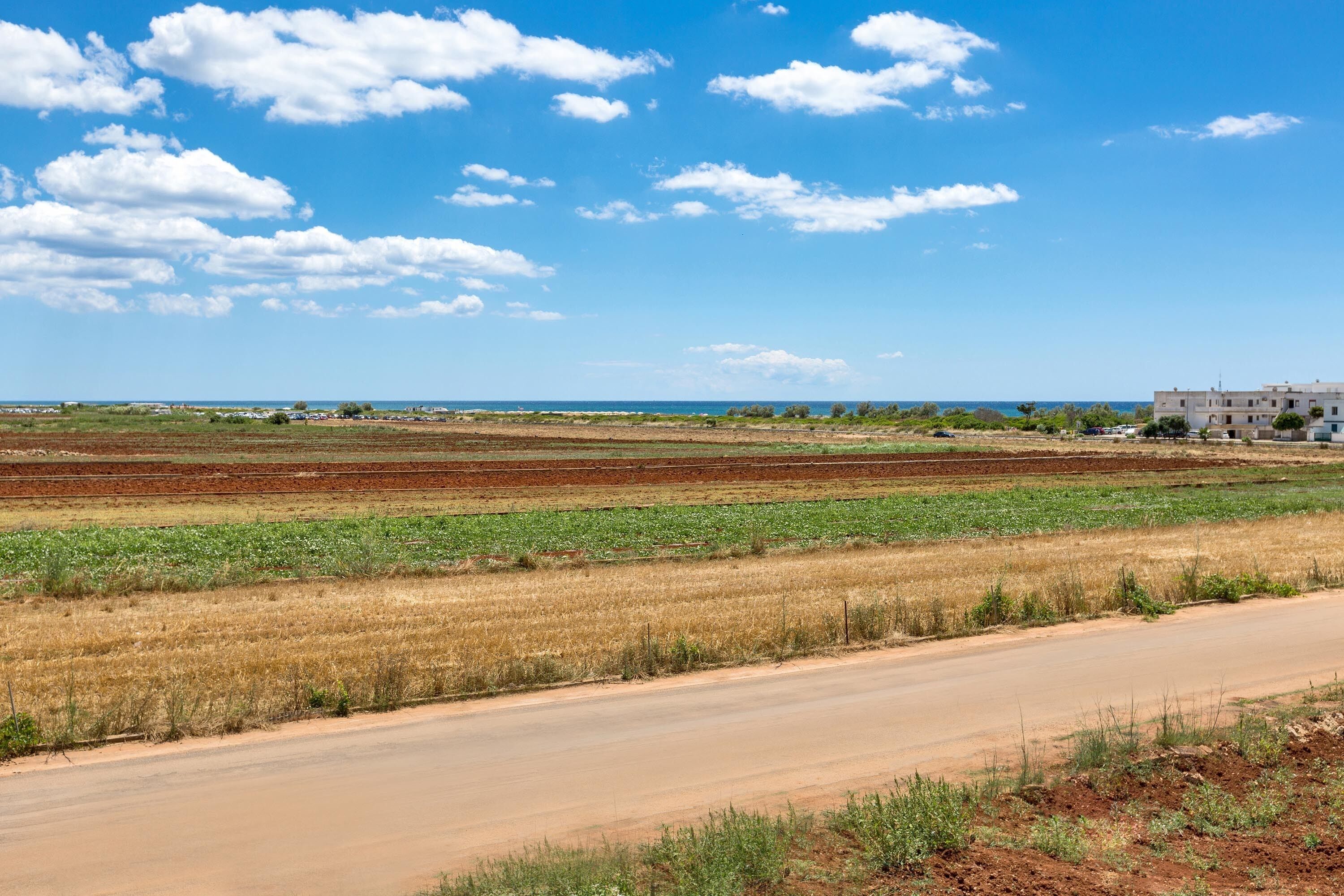 A rural landscape with fields, a dirt road, and a building in the distance.
