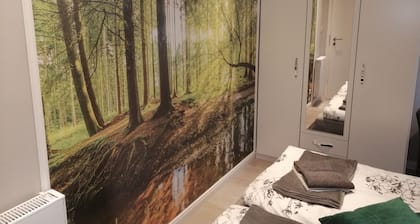 Liebevoll eingerichtete neue Ferienwohnung in ruhiger Lage