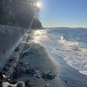 Una playa con olas, algas marinas y una barrera de hormigón.
