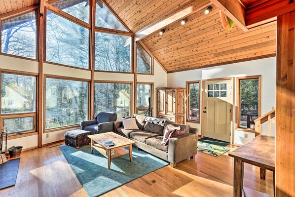 TV, fireplace, books