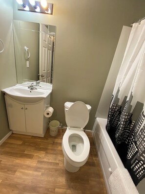 Shower, towels, toilet paper