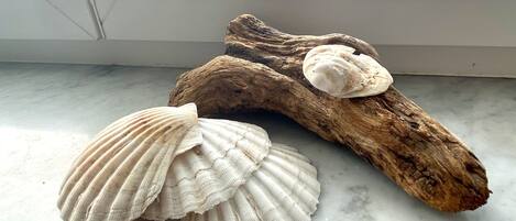 A piece of driftwood with two seashells on a marble surface.