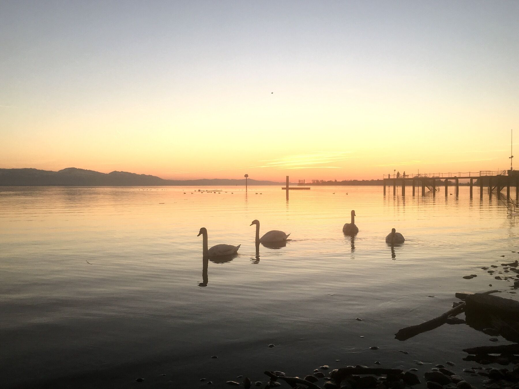 A serene lake at sunset with swans swimming, a pier extending into the water, and distant mountains.