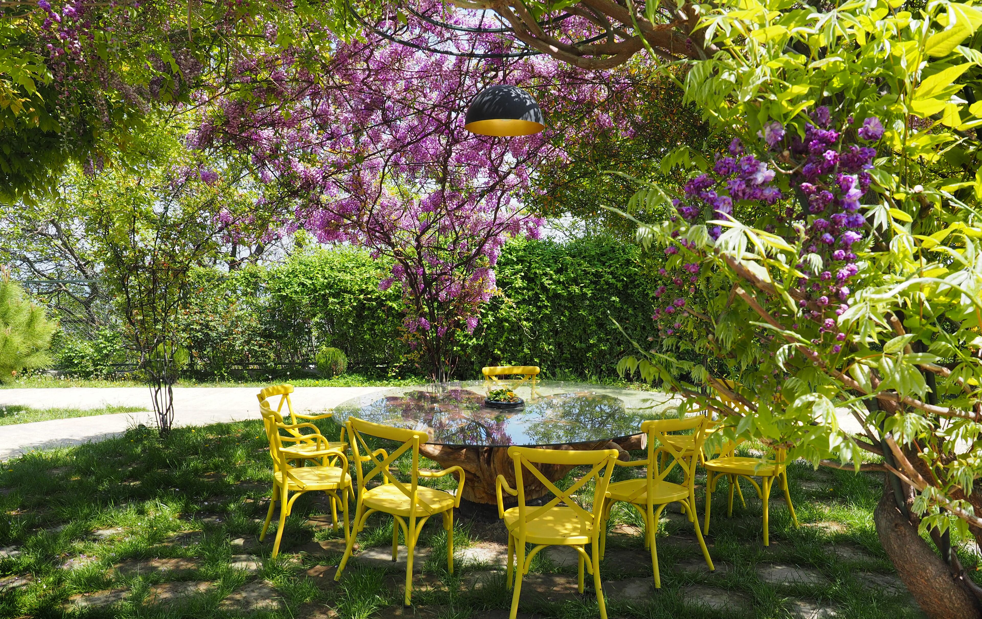 Une table ronde en verre, entourée de chaises jaunes, et le tout est agrémenté d’une végétation luxuriante et de fleurs violettes.