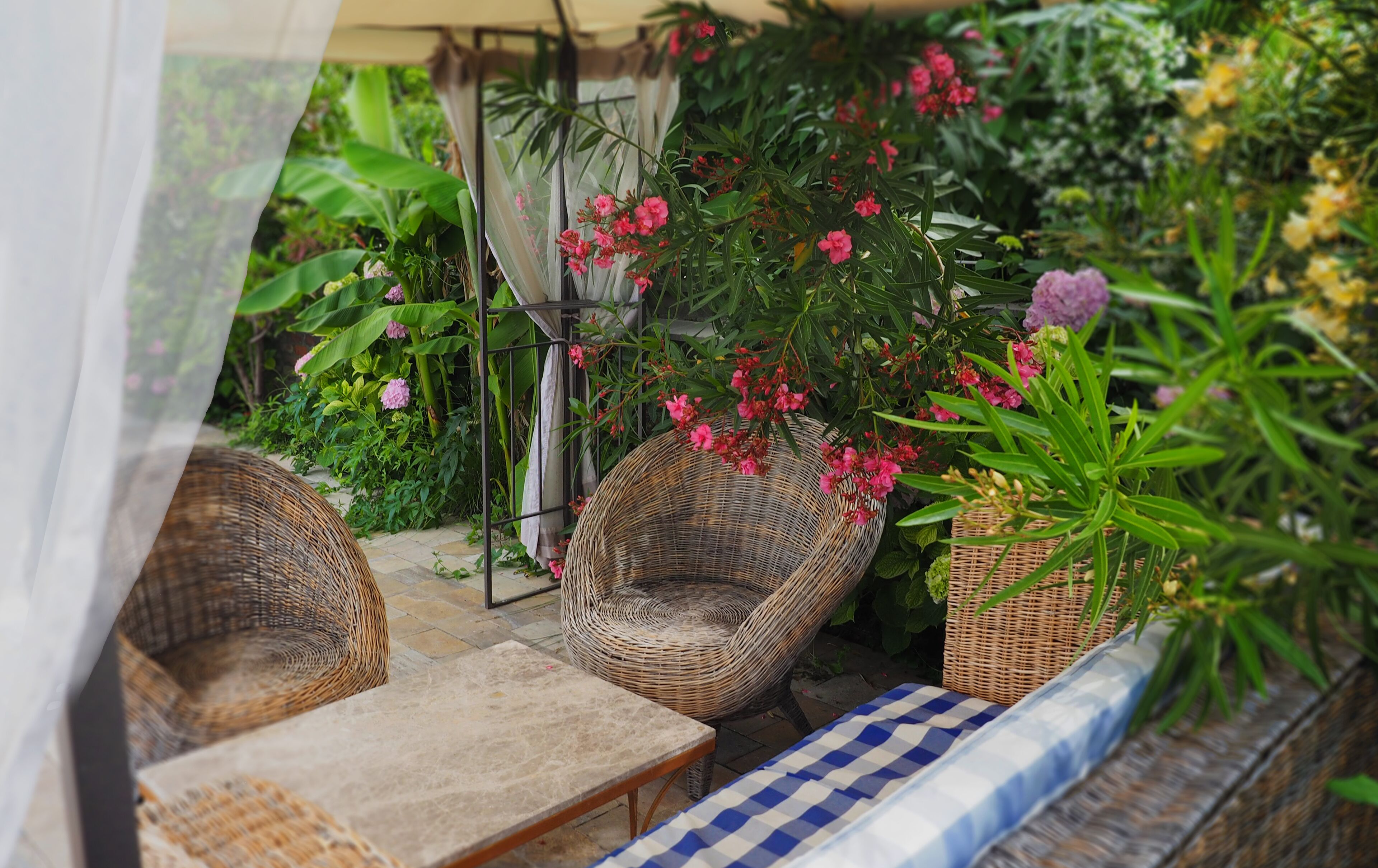 Un espace extérieur accueillant, aménagé avec des meubles en osier et une nappe à carreaux.