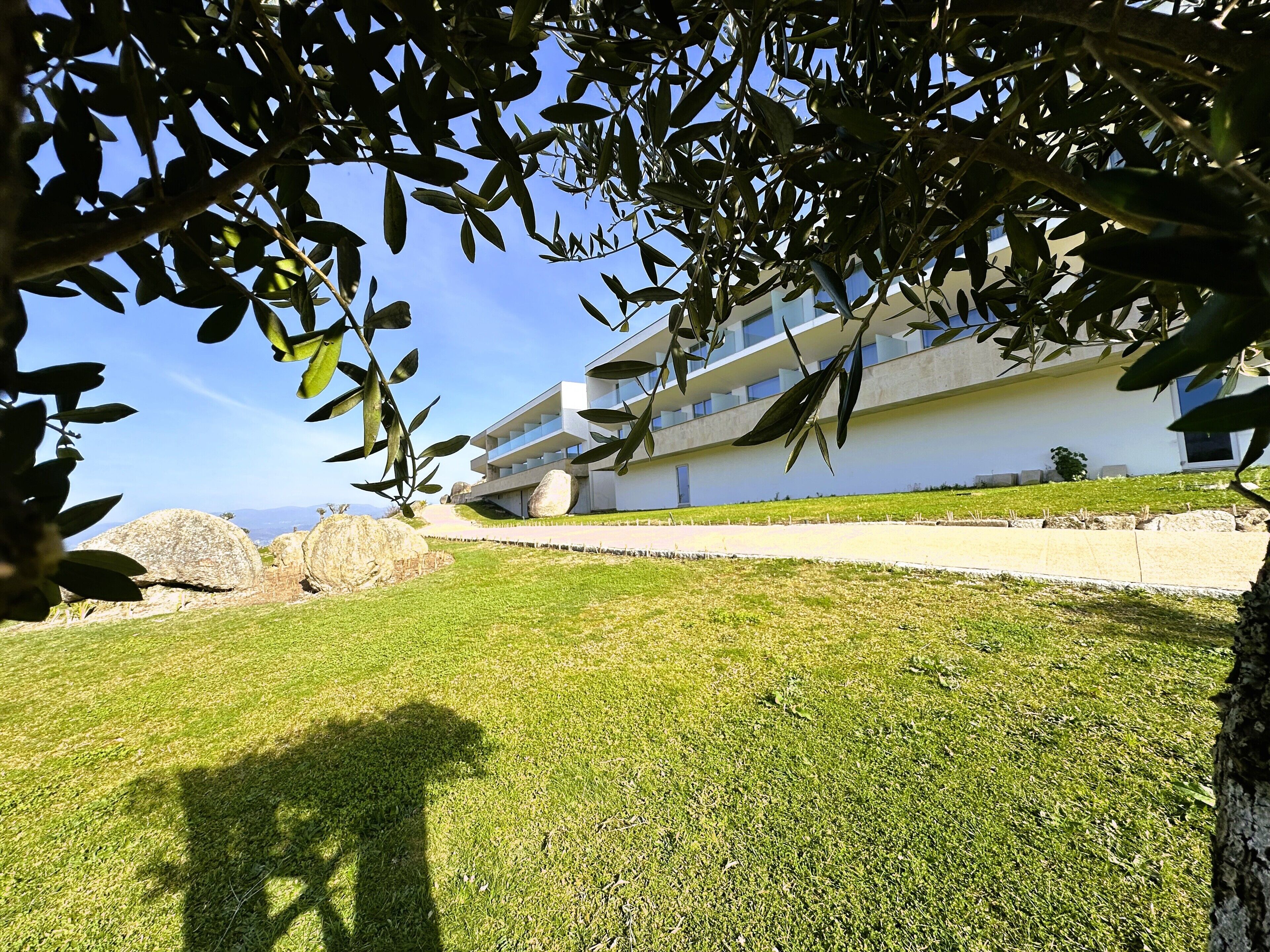 Un edificio moderno con techo plano y ventanas amplias, rodeado de un césped cuidado y algunas rocas grandes.