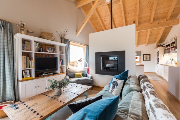 TV, fireplace, books