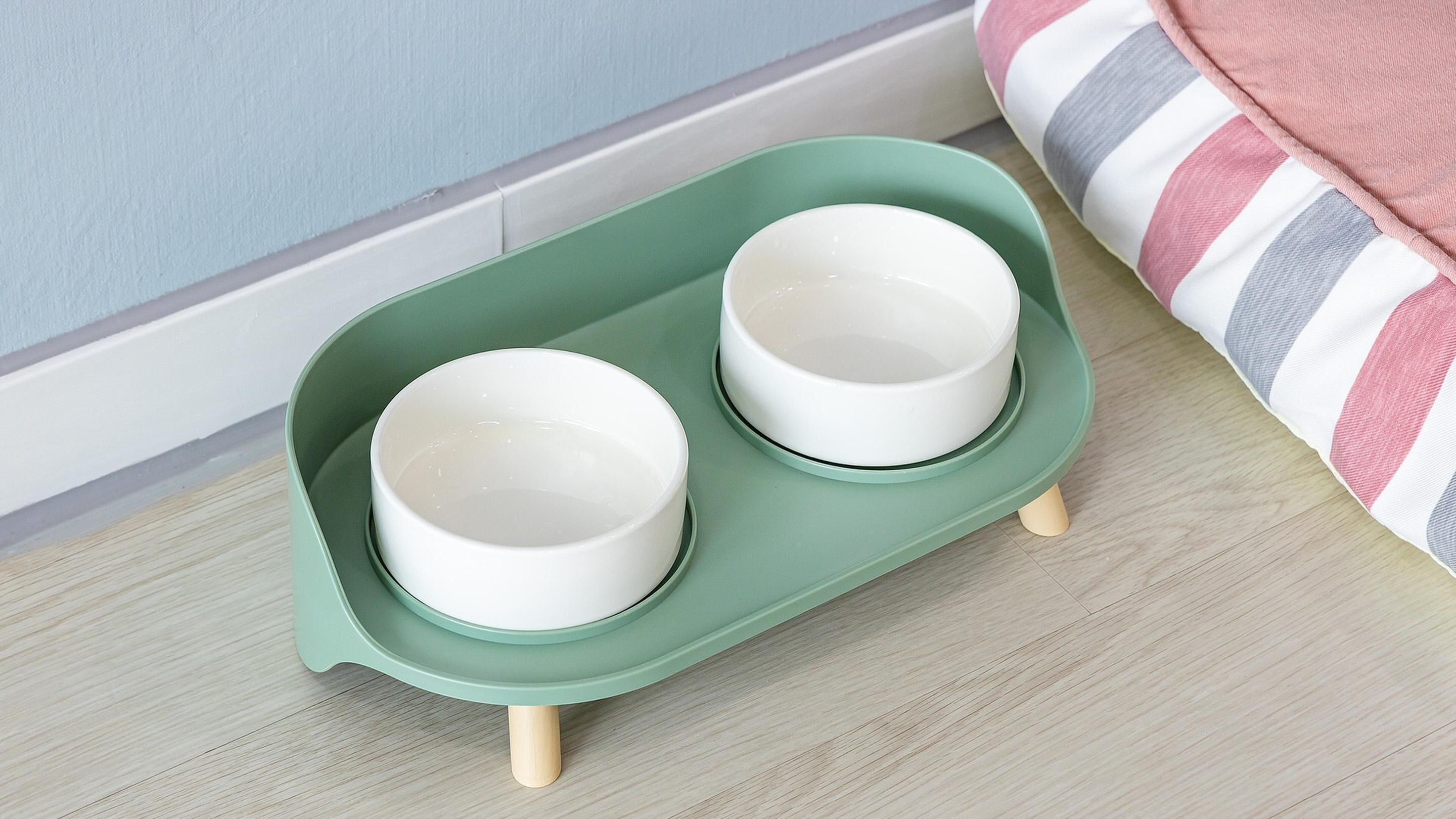 A green pet bed with two white bowls on a light wooden floor.