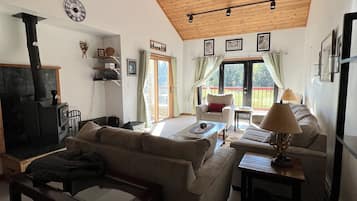 スマートテレビ、暖炉、書庫、ステレオ