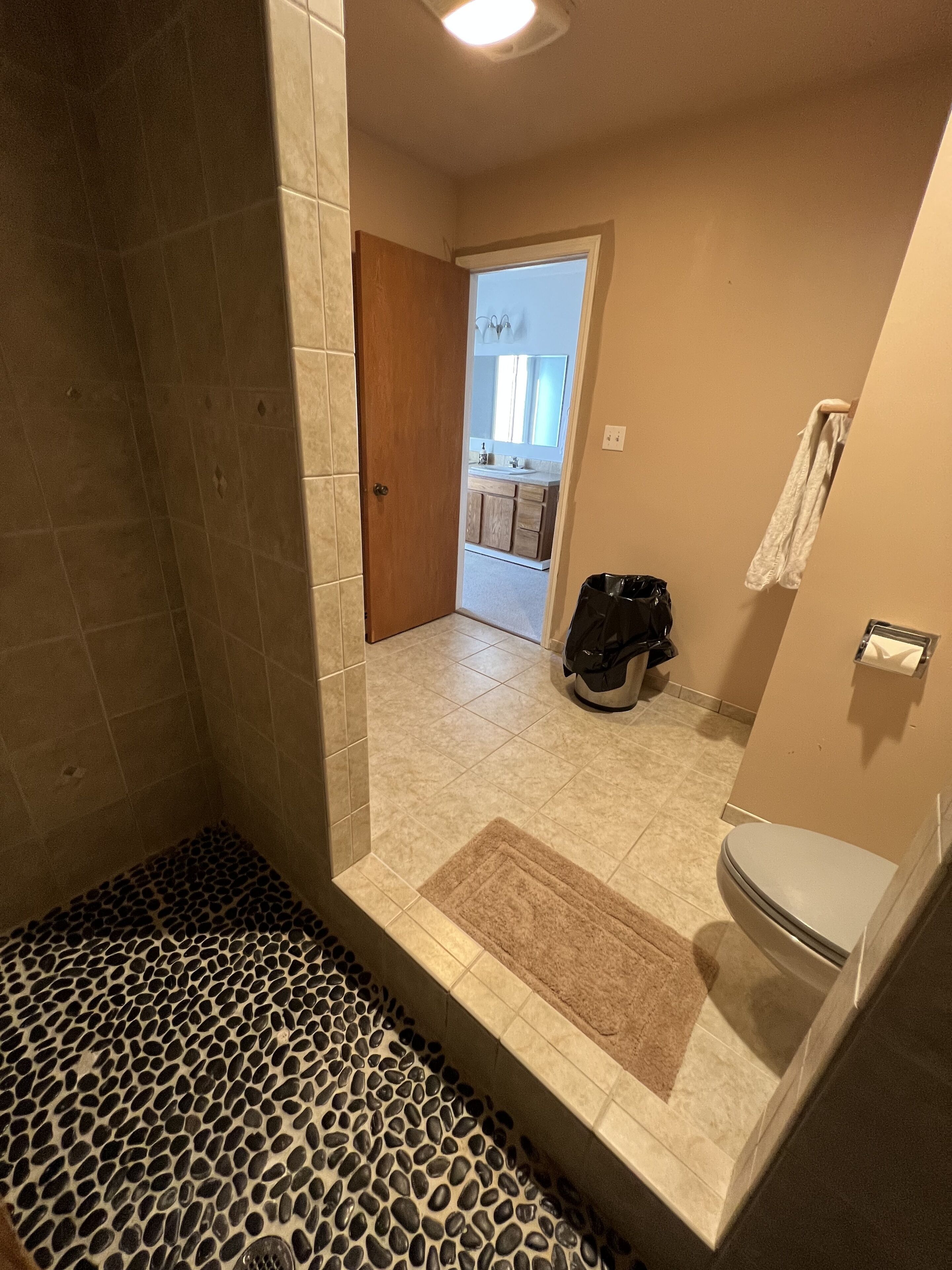 A bathroom with a shower, toilet, and a visible door leading to another room.