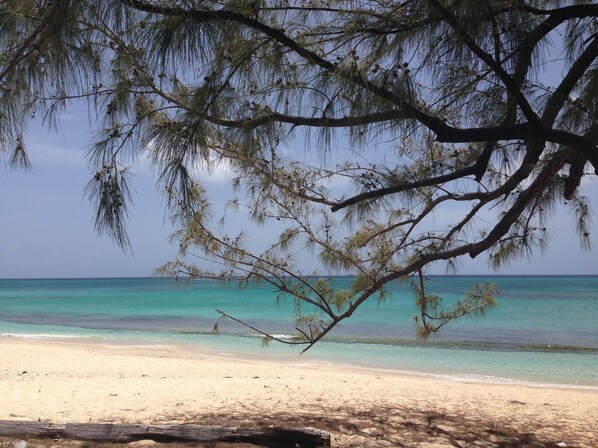 على الشاطئ، كراسي للتشمس