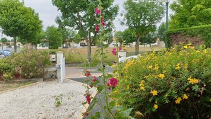 A garden area with gravel paths, flowering plants, and trees.