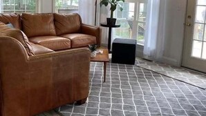 Un salon spacieux avec un canapé en cuir marron, une table basse et une plante en pot.