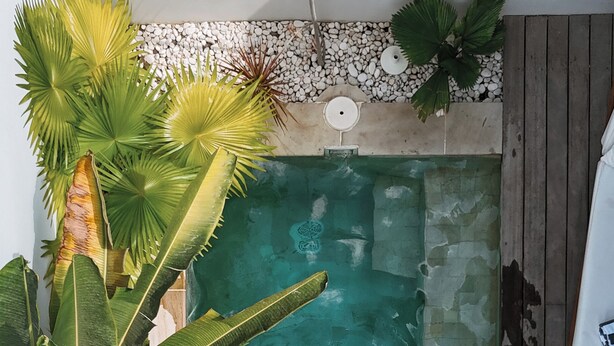 A rectangular swimming pool with clear water, surrounded by tropical plants and a wooden deck. - Neptune Studios Lombok (Kuta)