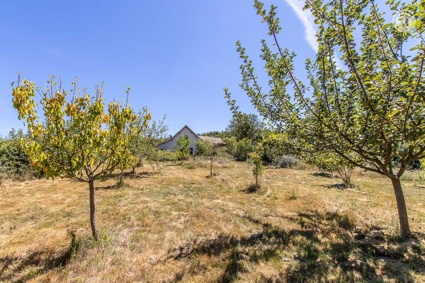Maaseutumaisema, jossa on yksi talo, ja sen ympärillä kuivaa ruohoa ja puita.