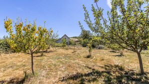 A rural landscape with a single house surrounded by dry grass and trees. - Thélème - Pouilloux - Gîte (POUILLOUX)