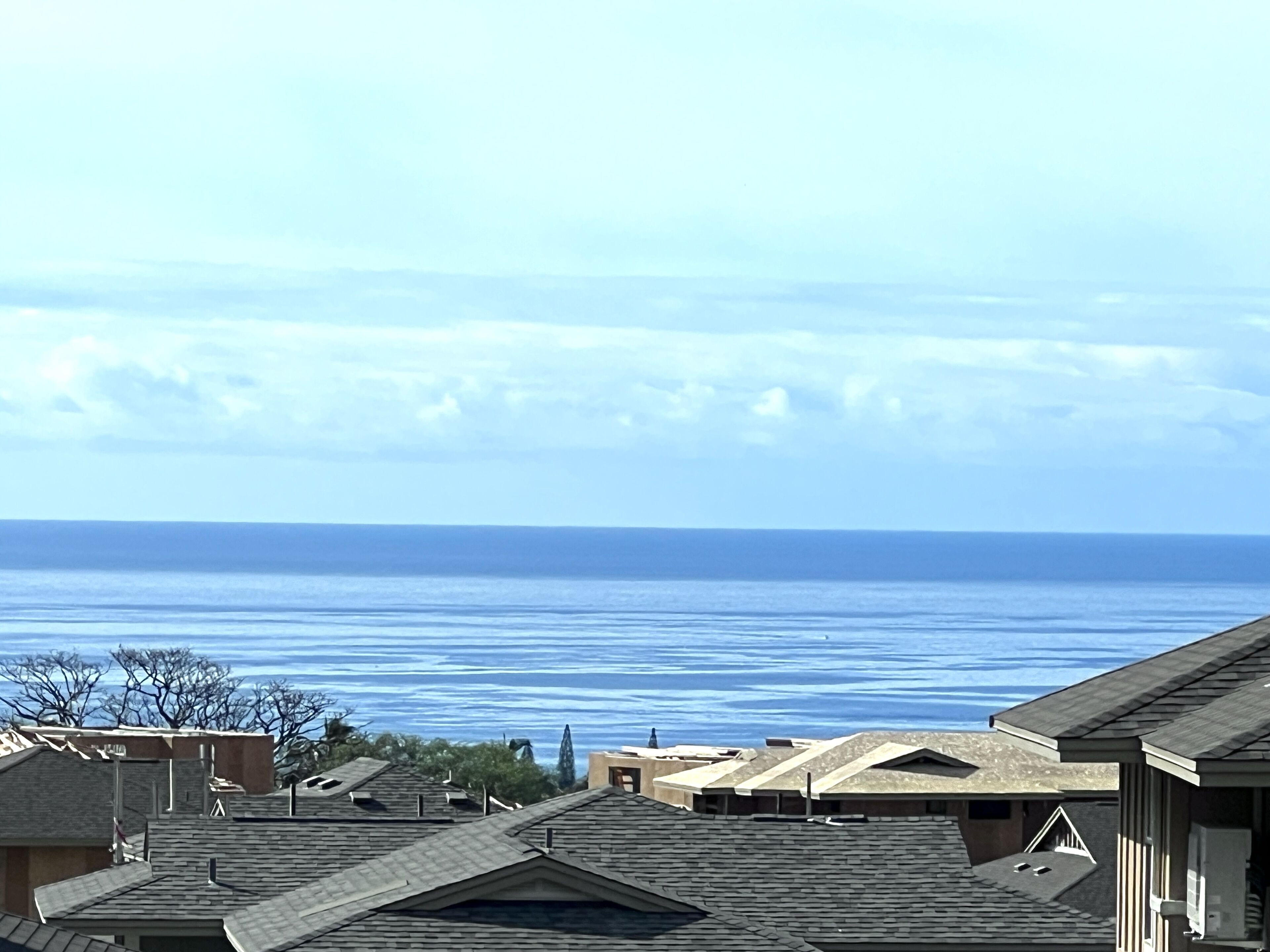 A coastal residential area with multiple houses and a view of the ocean.