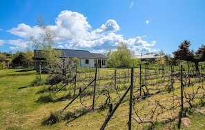 Overnatningsstedets område