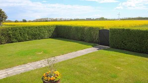A well-maintained garden with a hedge, a pathway, and a field of yellow flowers in the background.