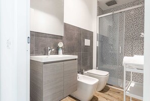 Shower, hair dryer, bidet, towels